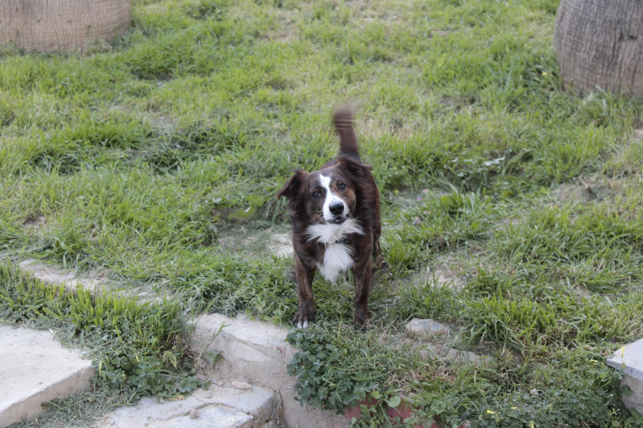 RUS FİNOSU OĞLUMA EŞ 1